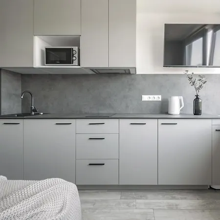 Mini-home Apartamentai * קלייפדה