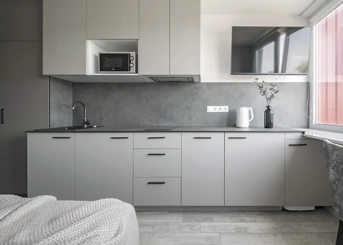 Mini-home Apartamentai * קלייפדה